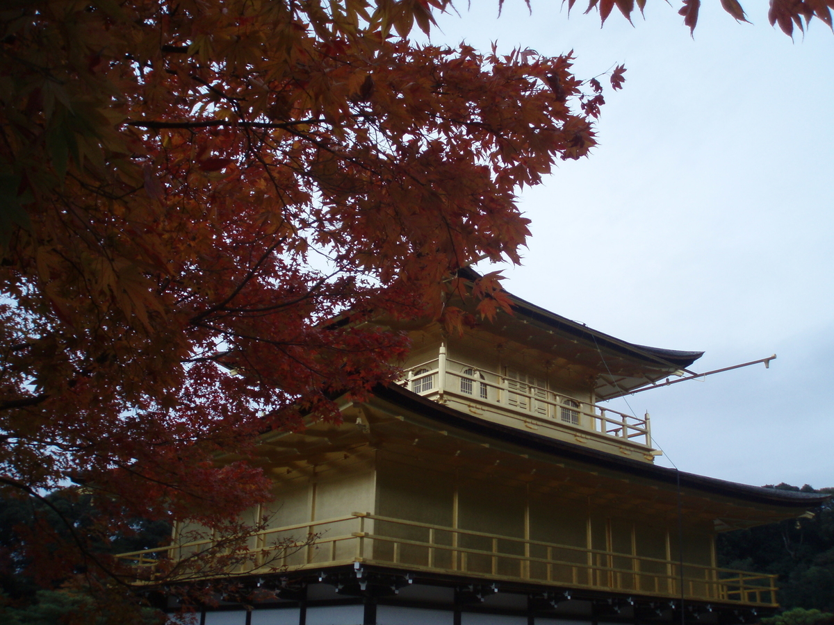 そうだ 京都行こう その２ Tomigaya Travel