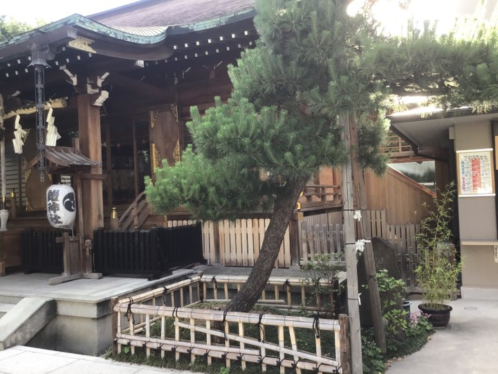 f:id:reiwa00502:20190621110300p:plain