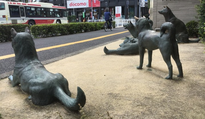 f:id:reiwa00502:20190628111425p:plain f:id:reiwa00502:20190628111425p:plain