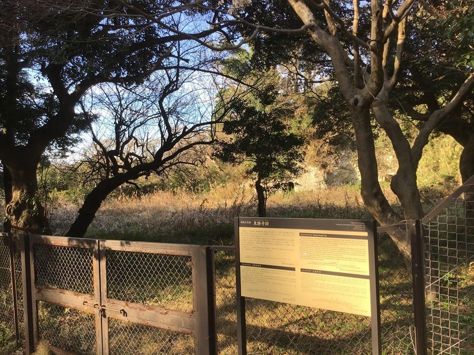 f:id:reiwa00502:20200518160007j:plain f:id:reiwa00502:20200518160007j:plain