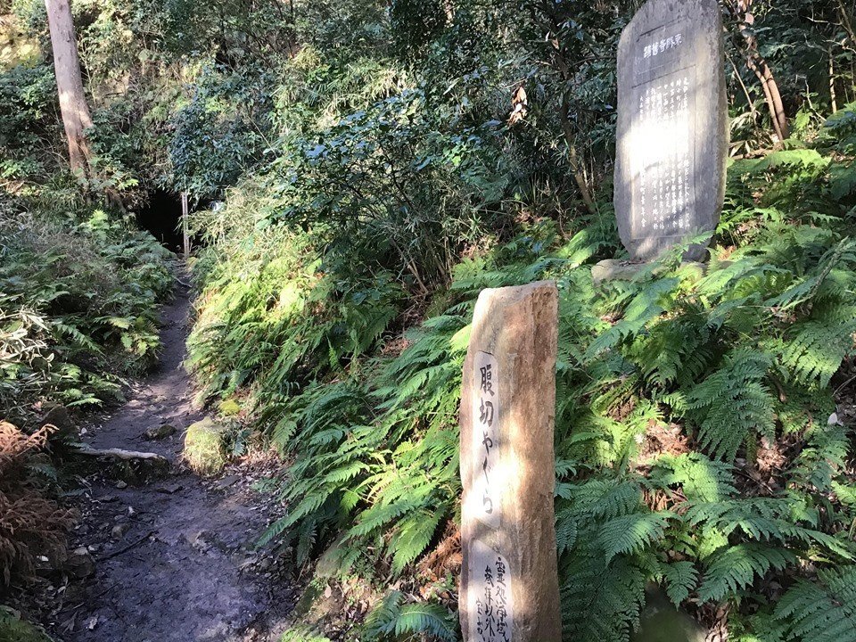 f:id:reiwa00502:20200518161516j:plain f:id:reiwa00502:20200518161516j:plain