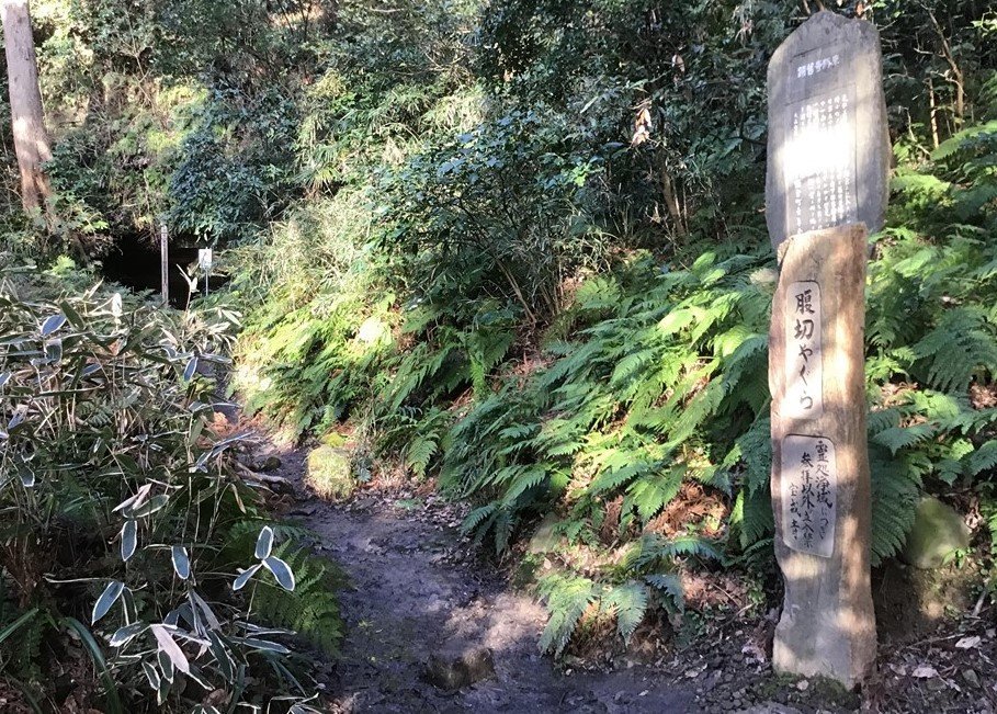 f:id:reiwa00502:20200518162526j:plain f:id:reiwa00502:20200518162526j:plain