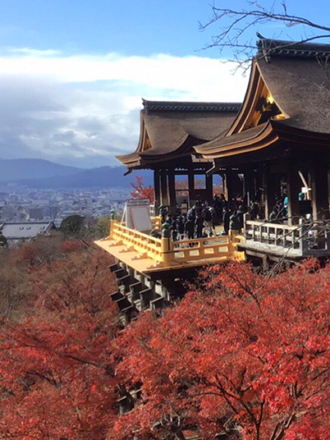 f:id:reiwa00502:20201214212600p:plain