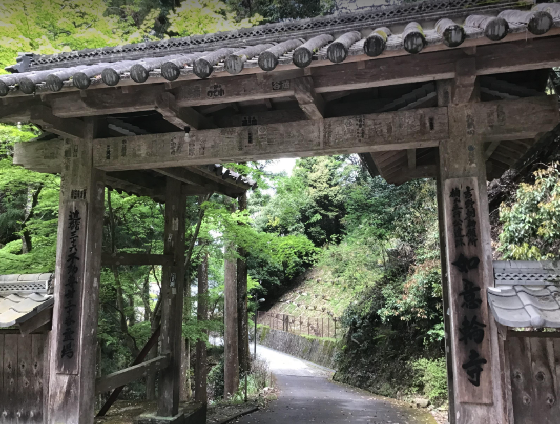 f:id:reiwa00502:20210503184836p:plain