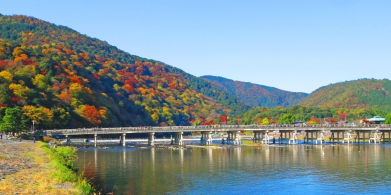 f:id:reiwa00502:20211121164056p:plain