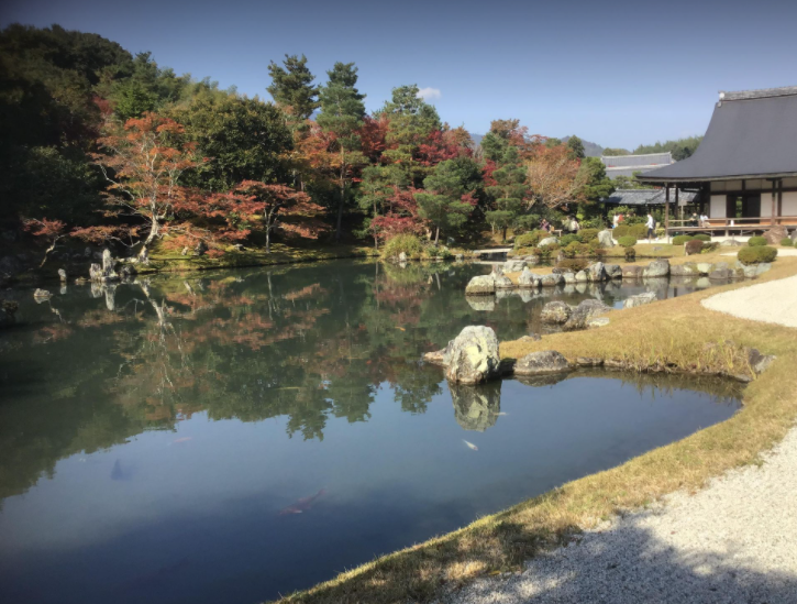 f:id:reiwa00502:20211122122348p:plain