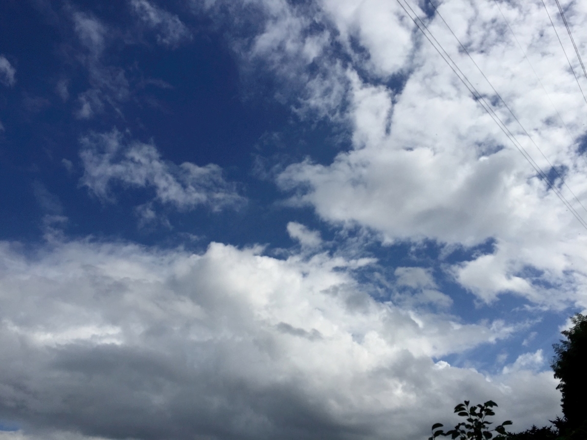f:id:reiwanohikari:20190614221156j:plain f:id:reiwanohikari:20190614221156j:plain