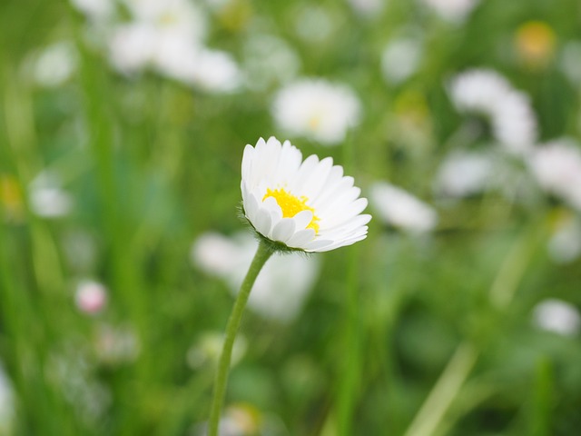f:id:reiwanohikari:20190809153656j:plain f:id:reiwanohikari:20190809153656j:plain