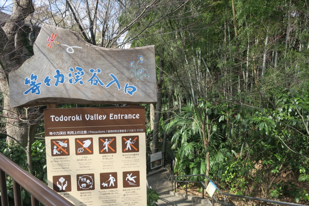 f:id:rejanaq:20180331104725j:plain f:id:rejanaq:20180331104725j:plain