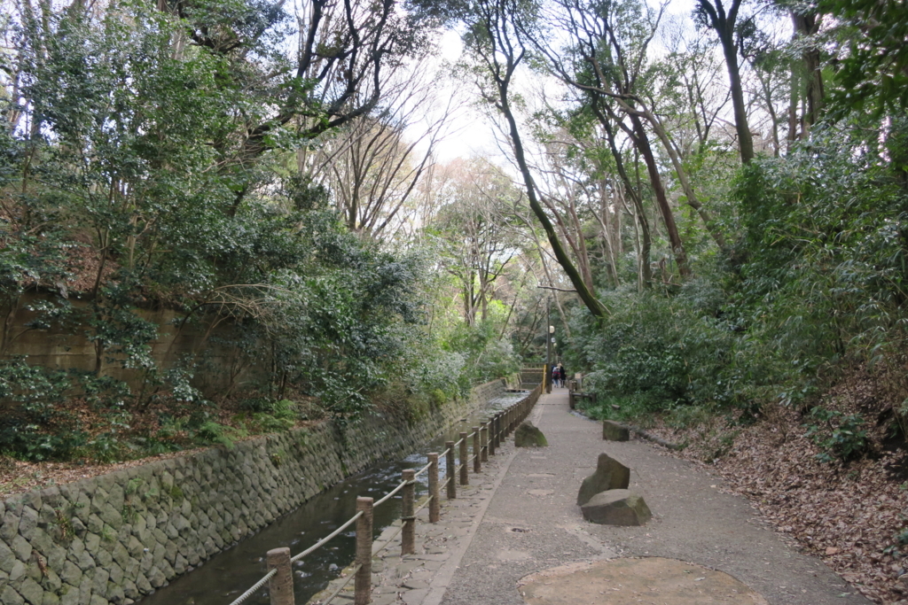 f:id:rejanaq:20180331104843j:plain f:id:rejanaq:20180331104843j:plain