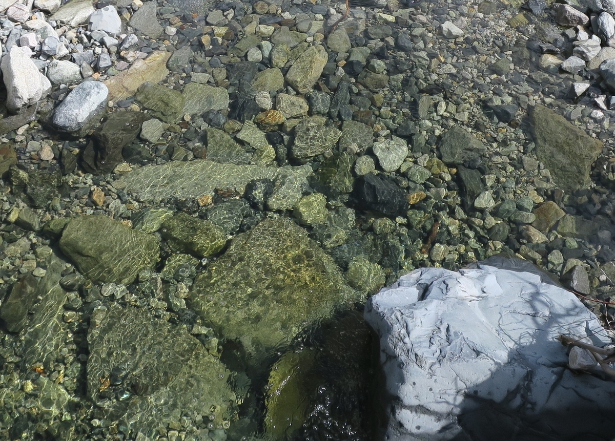 f:id:rejanaq:20190512071309j:plain