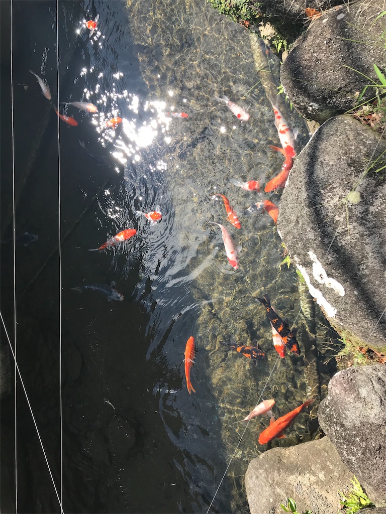 f:id:rekiken9:20190628052356j:image