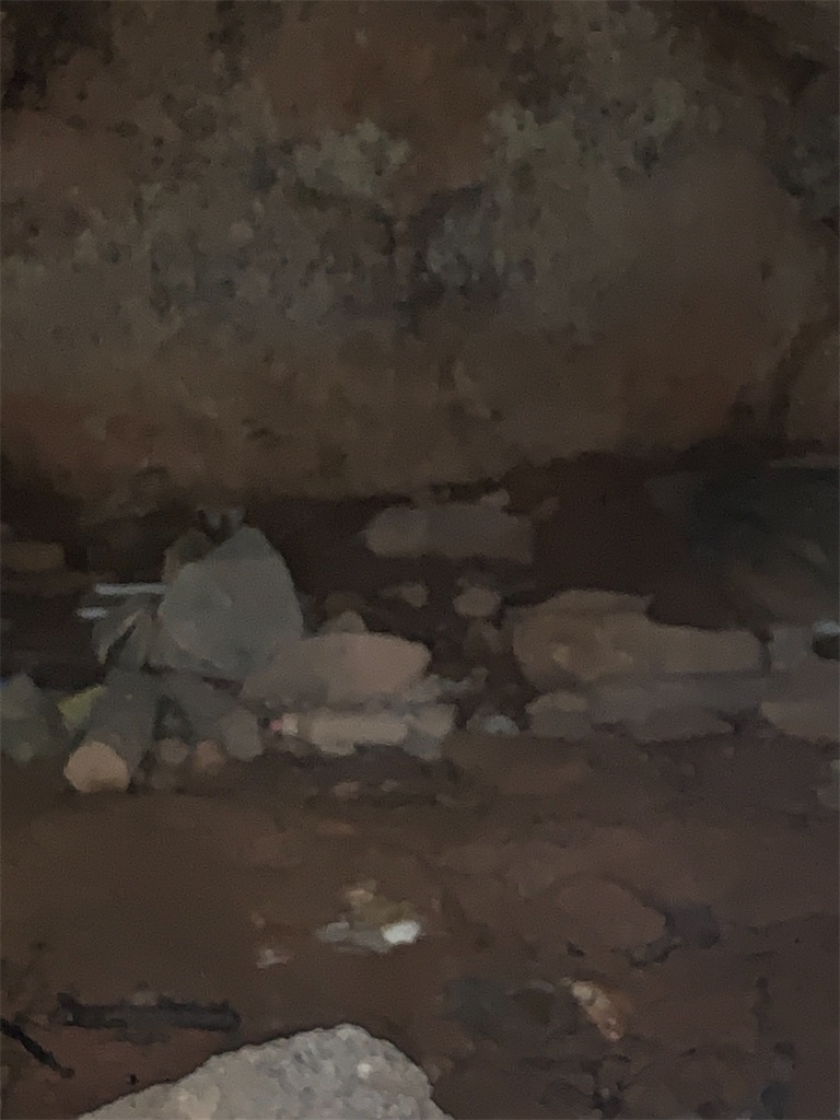 f:id:rekiken9:20200405204947j:image