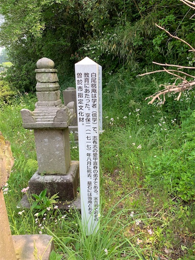 f:id:rekiken9:20200505085311j:image f:id:rekiken9:20200505085311j:image