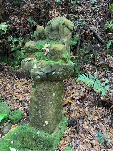 f:id:rekiken9:20200510082647j:image f:id:rekiken9:20200510082647j:image