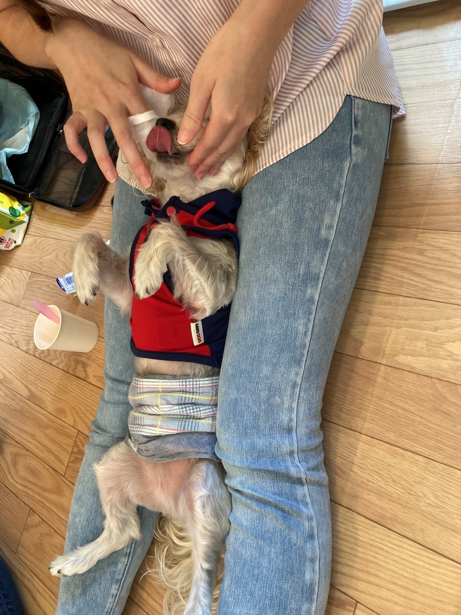 f:id:relax-kafu:20200920062017j:plain