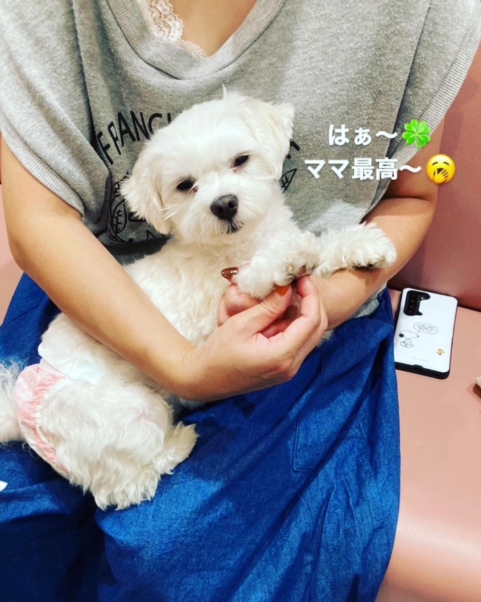 f:id:relax-kafu:20200921104117j:plain