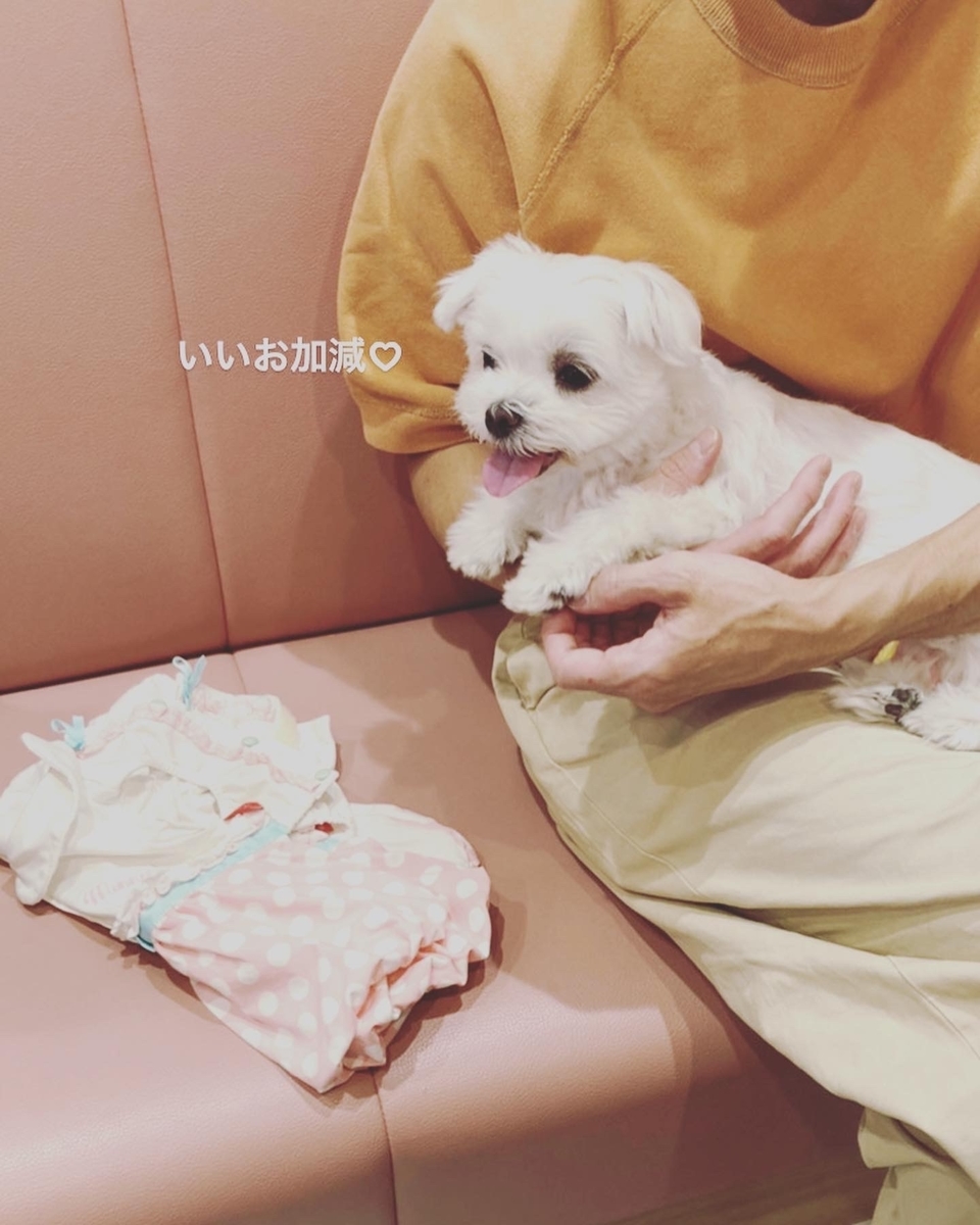 f:id:relax-kafu:20200921104210j:plain