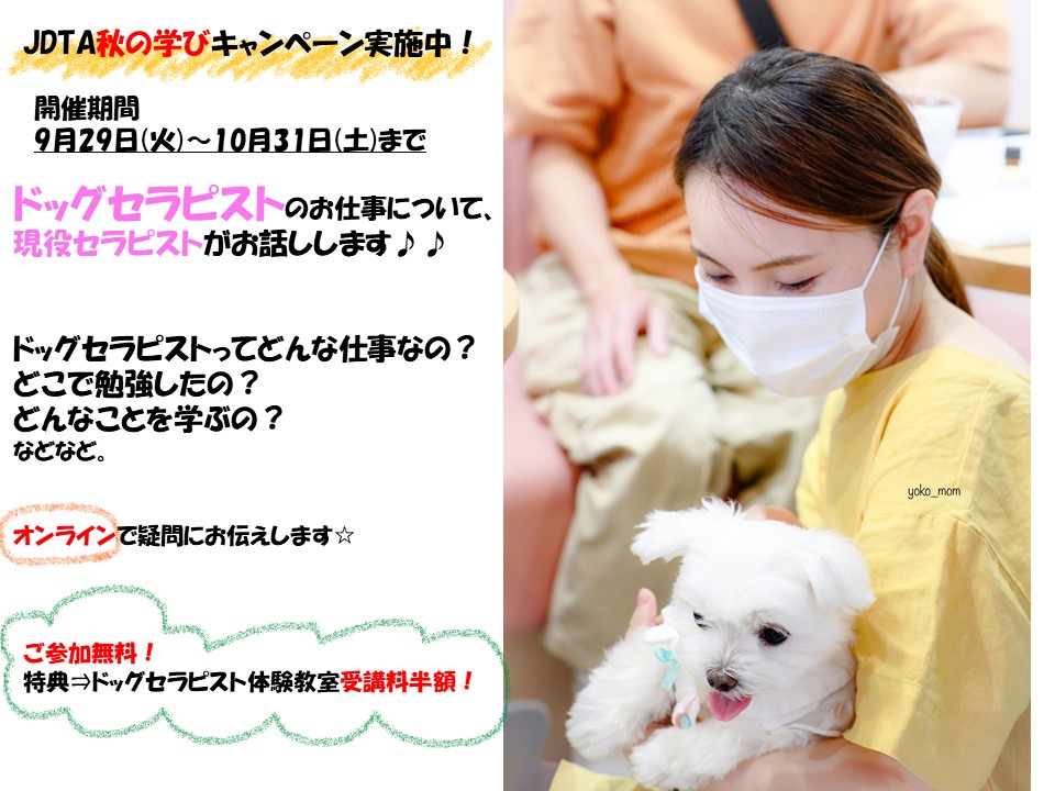 f:id:relax-kafu:20200926093943j:plain
