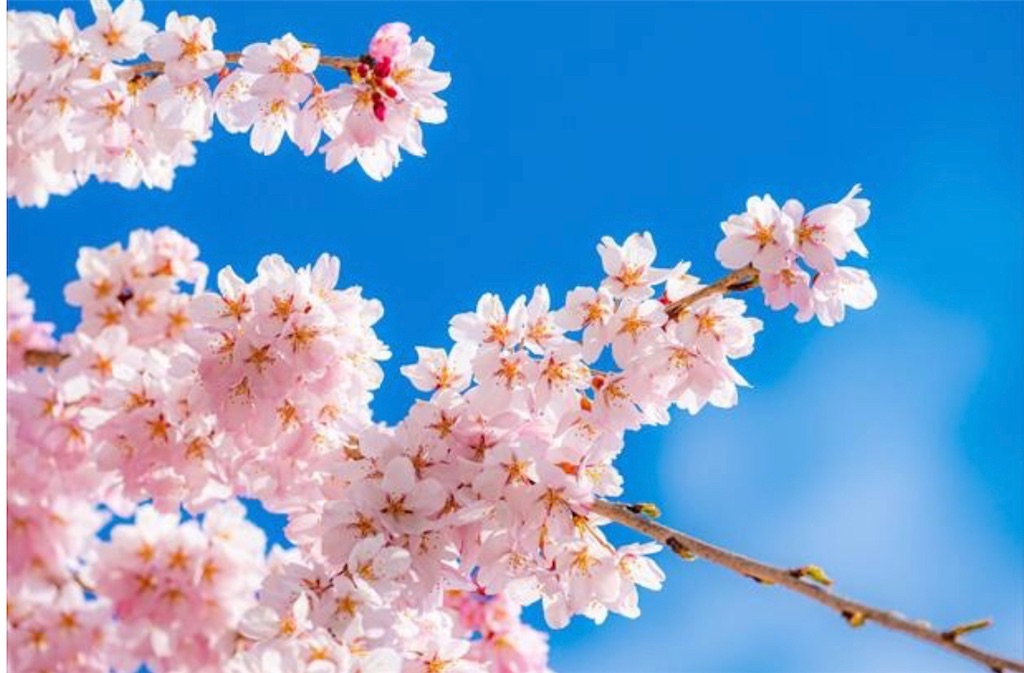 f:id:relax-words:20230401212211j:image