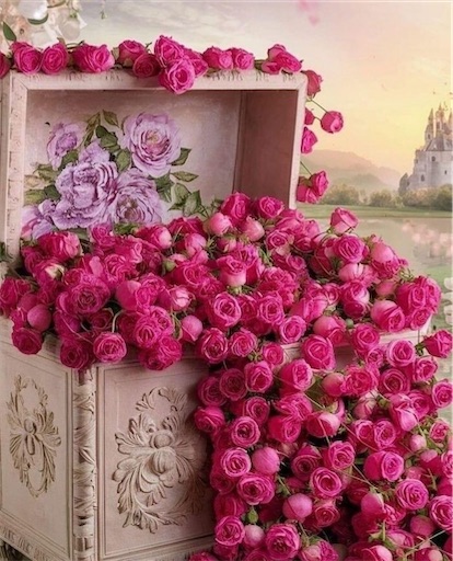 f:id:relazione:20240719132704j:image