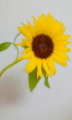 20110722221117
