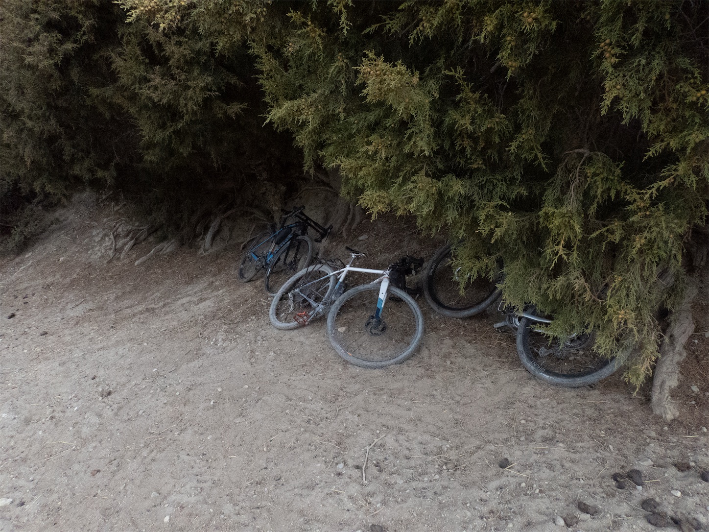 f:id:remaker314:20250501214331j:image