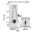 [eggnumber]鈴木秋悦 (2000)『現代妊娠事情』報知新聞社、p. 54