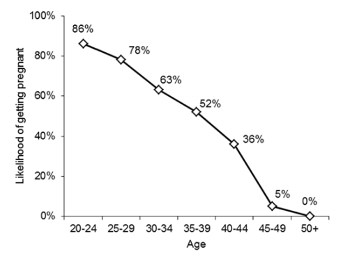 f:id:remcat:20180905203404p:image