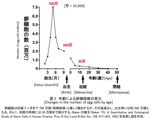 f:id:remcat:20180906180047p:image