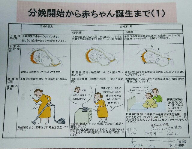 f:id:remedolphin:20171218170231j:plain f:id:remedolphin:20171218170231j:plain