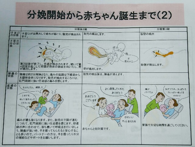 f:id:remedolphin:20171218170252j:plain f:id:remedolphin:20171218170252j:plain