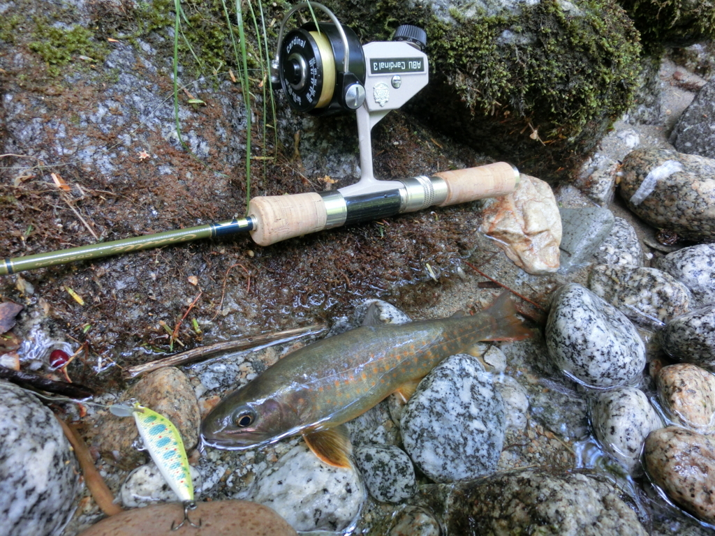f:id:remember_the_trout:20170708143938j:plain f:id:remember_the_trout:20170708143938j:plain