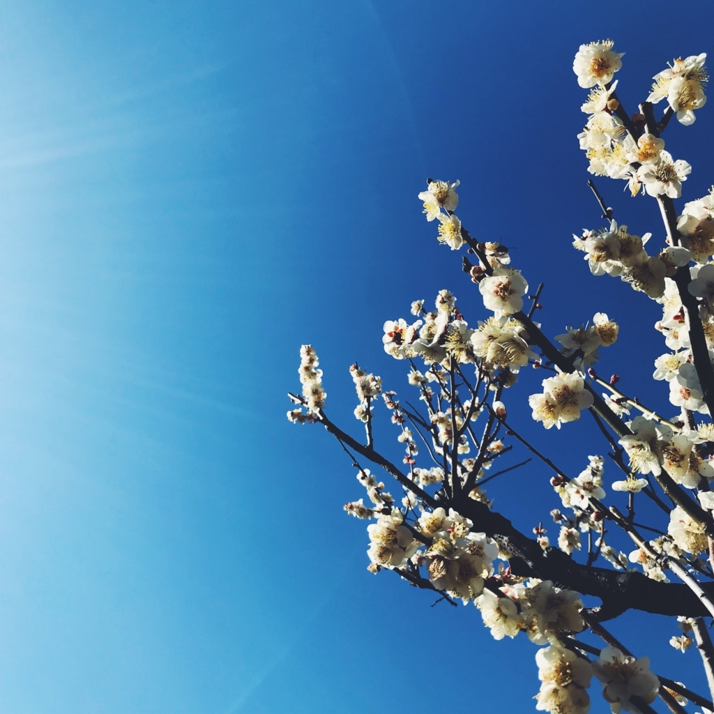 f:id:remembering:20180306202847j:plain f:id:remembering:20180306202847j:plain