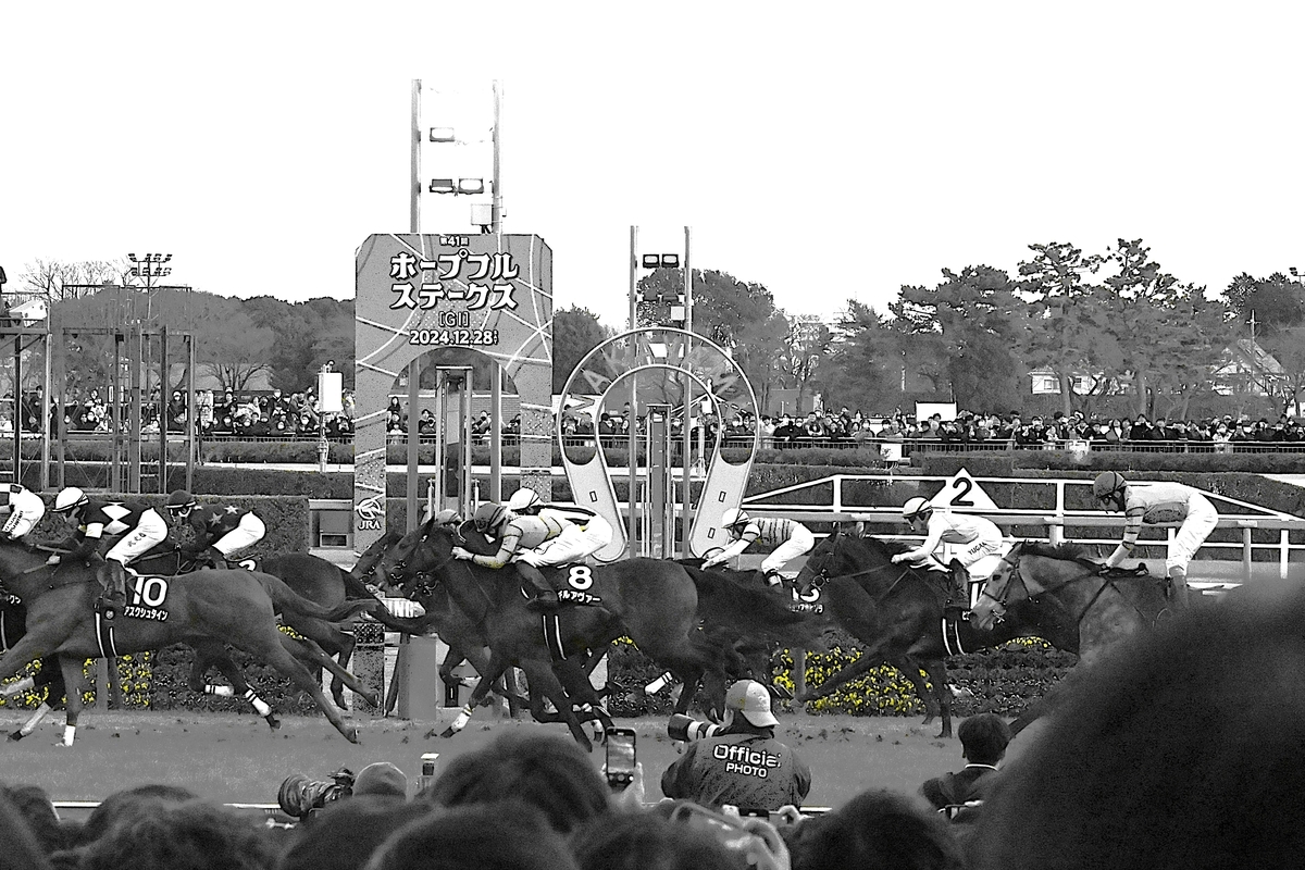 中山競馬場に行ってホープフルステークスをZ50IIで撮影 - れもんかめら