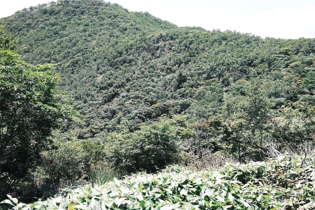 f:id:remontea0710:20200817231459j:image