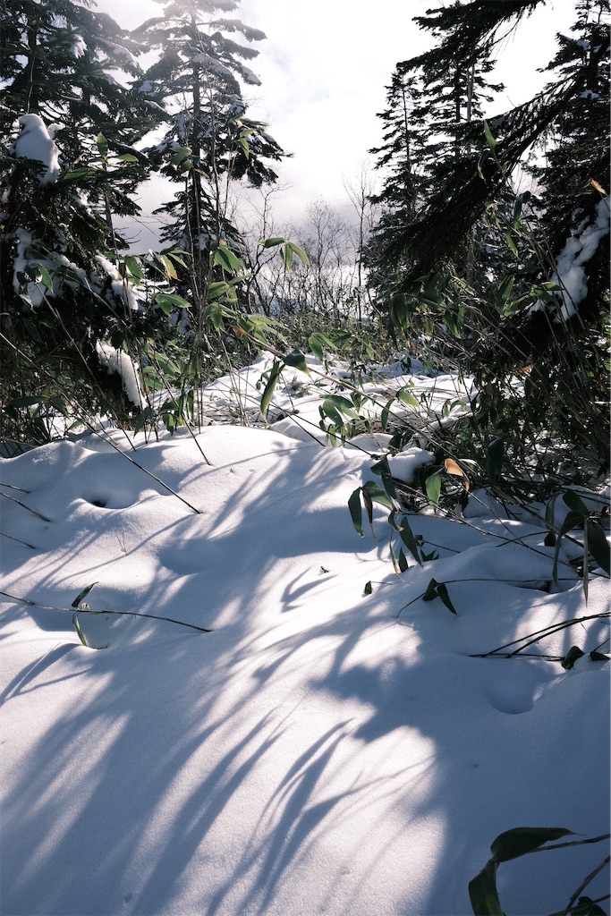 f:id:remontea0710:20211025124222j:image f:id:remontea0710:20211025124222j:image