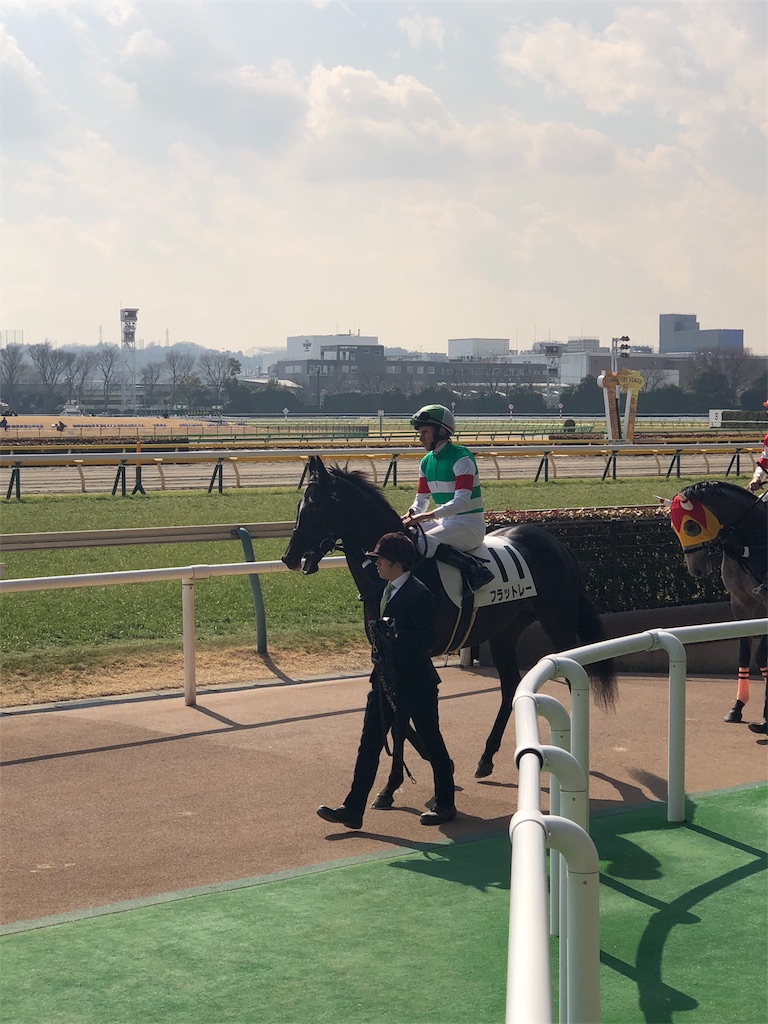 清純派 一口馬主ライフとパドック予想師 誠意の競馬日記と反省