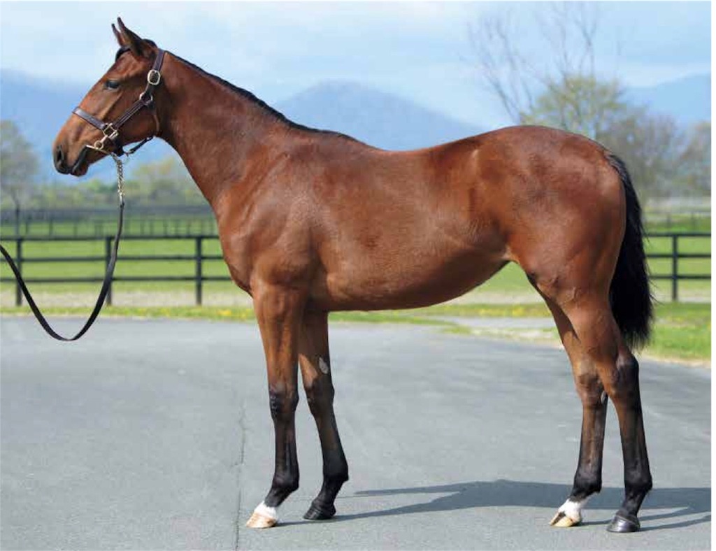 f:id:remsan:20190716021137j:image f:id:remsan:20190716021137j:image