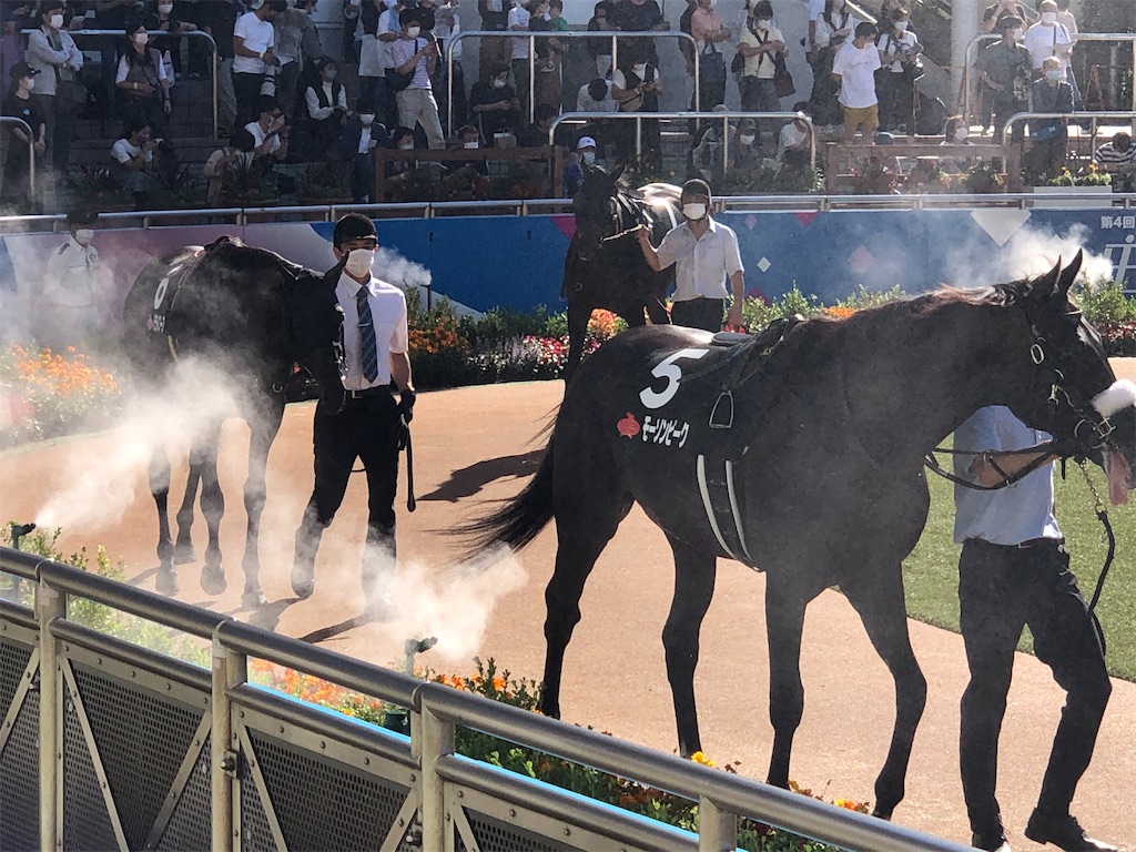 f:id:remsan:20210920145134j:image f:id:remsan:20210920145134j:image