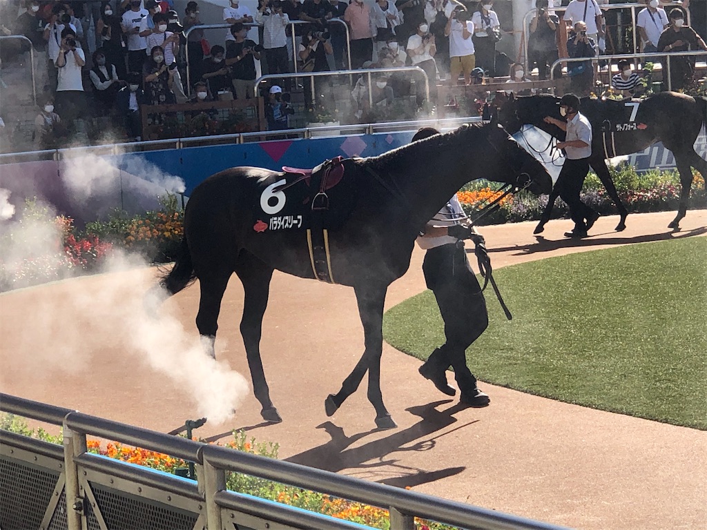 f:id:remsan:20210920145304j:image f:id:remsan:20210920145304j:image