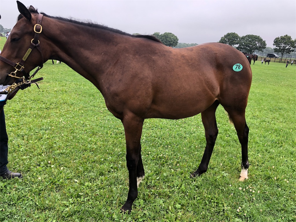 f:id:remsan:20220804140341j:image f:id:remsan:20220804140341j:image