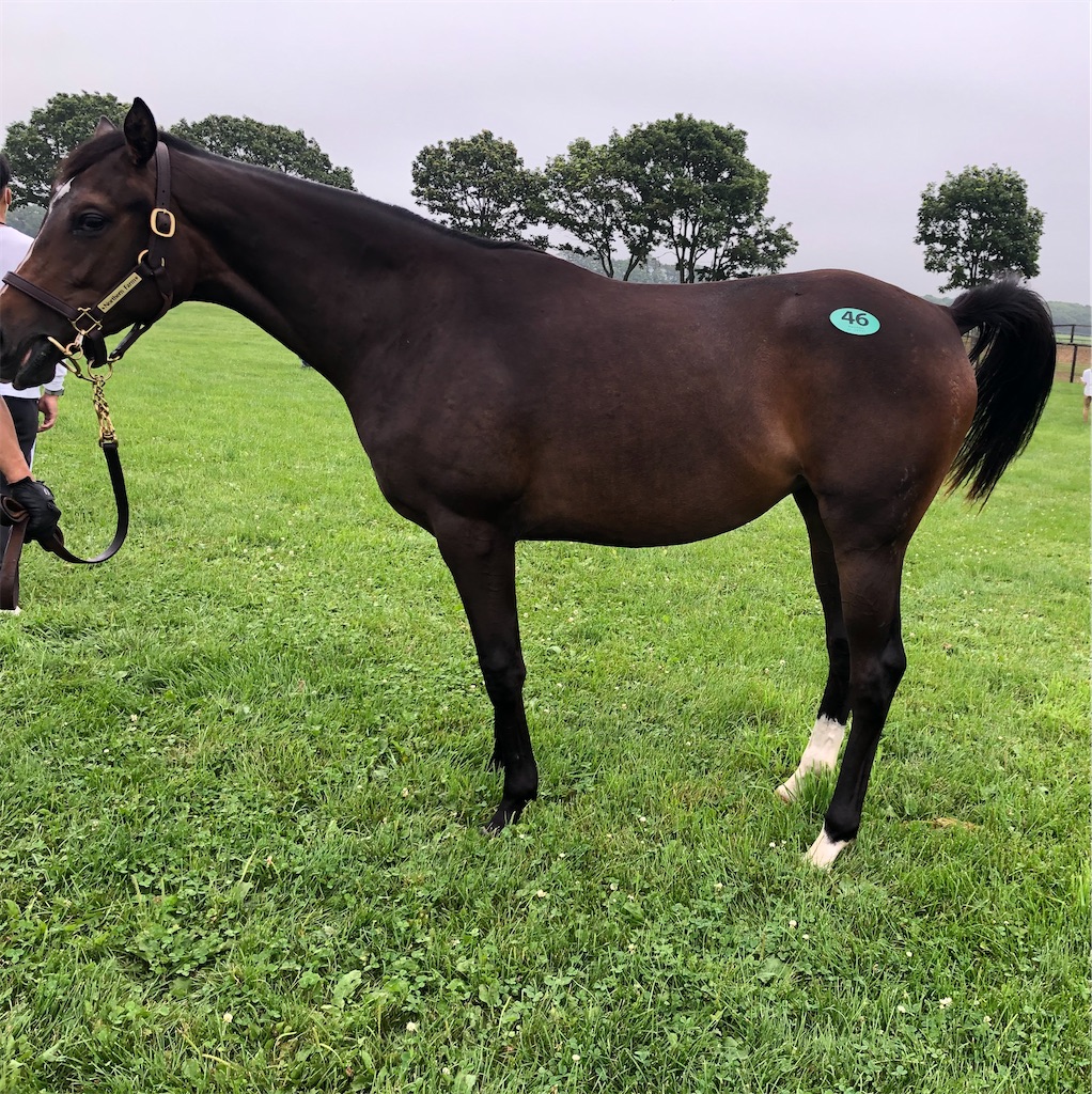 f:id:remsan:20220804140429j:image f:id:remsan:20220804140429j:image