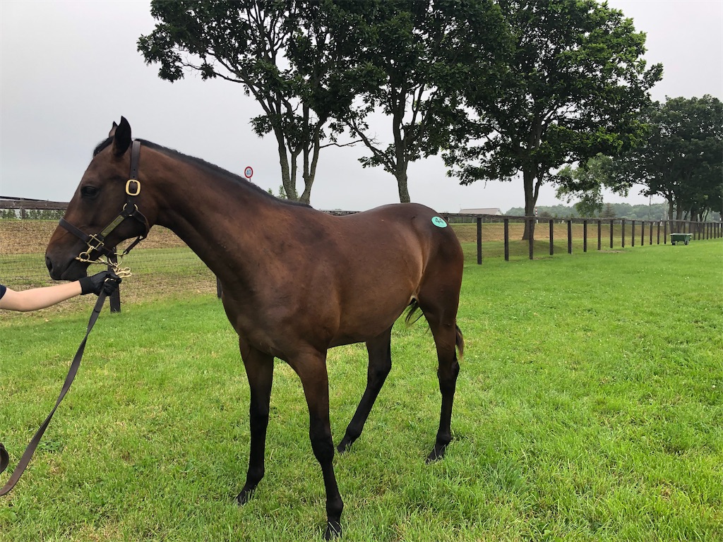 f:id:remsan:20220804140532j:image f:id:remsan:20220804140532j:image