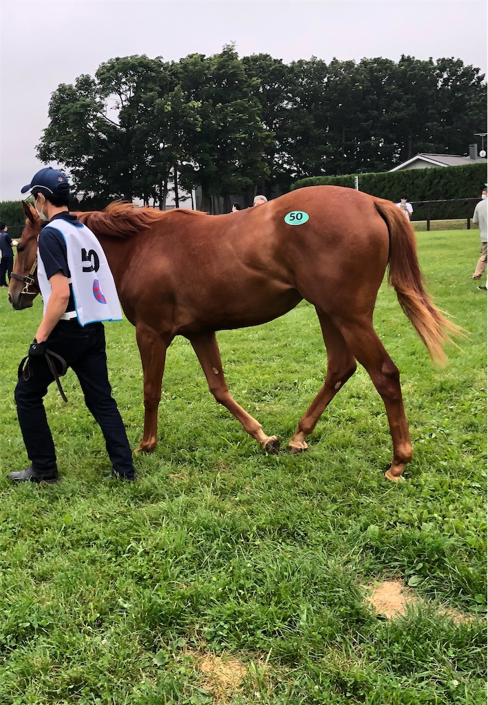 f:id:remsan:20220804140637j:image f:id:remsan:20220804140637j:image