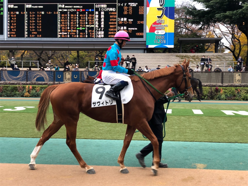 f:id:remsan:20221120140108j:image f:id:remsan:20221120140108j:image