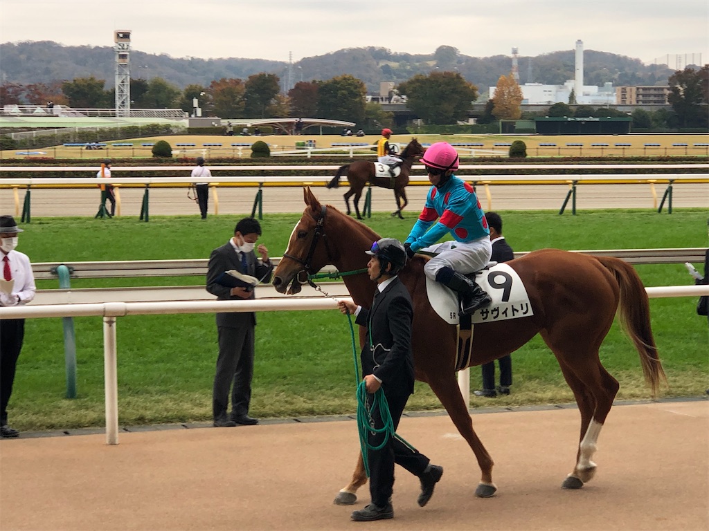 f:id:remsan:20221120140131j:image f:id:remsan:20221120140131j:image