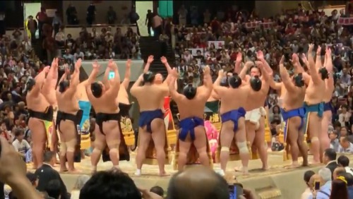 力士の体癖