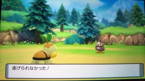 ダイパ(ポケモン)のナエトル