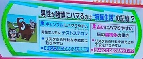 「男性脳」と「女性脳」の性質の違い3